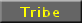 Tribe